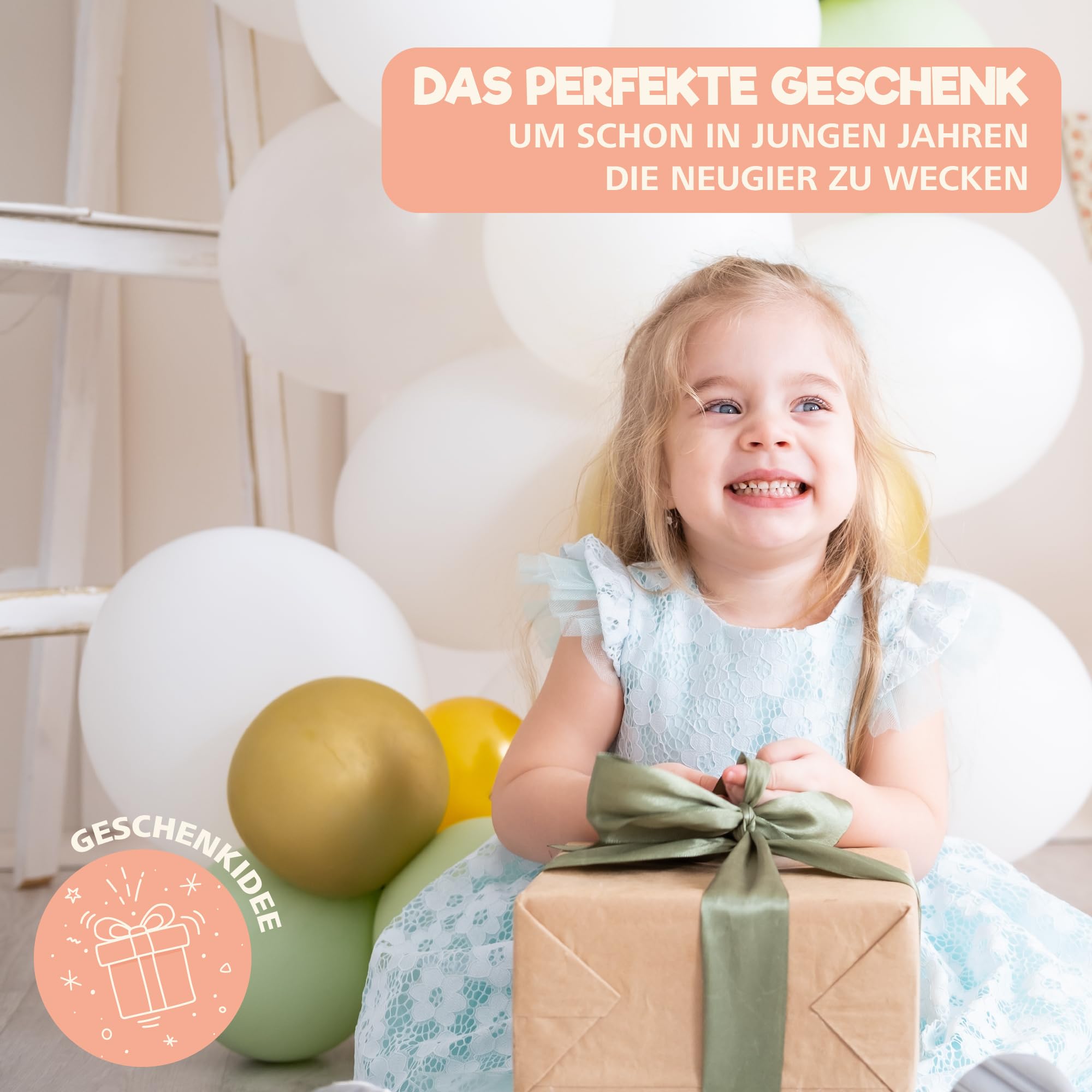 Sweety Fox Montessori Spielzeug ab 1 Jahr - Holz Sortier & Stapelspielzeug, 1 2 3 Jahre -Aktivitäts